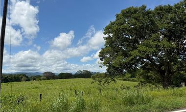 Venta de finca en San Juan de San Lorenzo