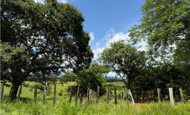 Venta de finca en San Juan de San Lorenzo