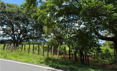 Venta de finca en San Juan de San Lorenzo