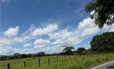 Venta de finca en San Juan de San Lorenzo