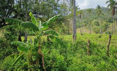 Lote de Playa en Venta en Playa Majagual, Cermeño de Capira RB