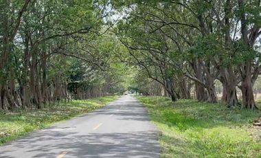 Lote de Playa en Venta en Playa Majagual, Cermeño de Capira RB