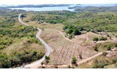 Finca de 15 Ha en el area de Playa Hermosa Horconsito