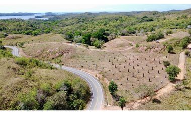 Finca de 15 Ha en el area de Playa Hermosa Horconsito