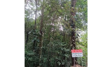 Terreno a la Venta en Cerro Azul/Land for Sale in Cerro Azul $60,000