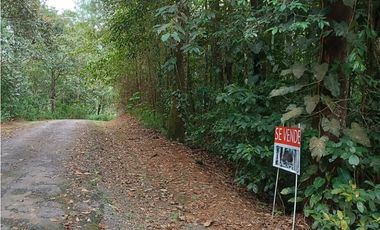 Terreno a la Venta en Cerro Azul/Land for Sale in Cerro Azul $60,000