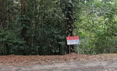 Terreno a la Venta en Cerro Azul/Land for Sale in Cerro Azul $60,000