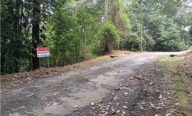 Terreno a la Venta en Cerro Azul/Land for Sale in Cerro Azul $60,000