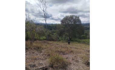 Venta de finca de cafe y platano en Rio Sereno