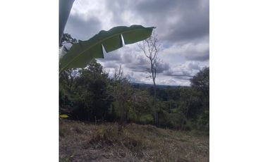 Venta de finca de cafe y platano en Rio Sereno