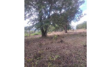 Venta de finca de cafe y platano en Rio Sereno