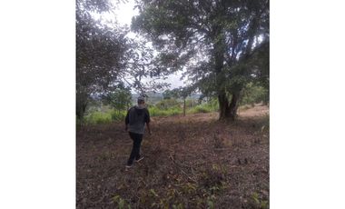 Venta de finca de cafe y platano en Rio Sereno