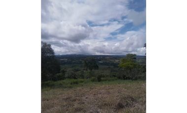 Venta de finca de cafe y platano en Rio Sereno