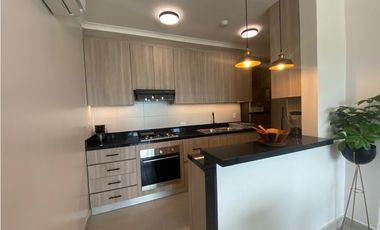 ALQUILER APARTAMENTO AMOBLADO ALBROOK