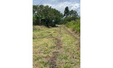 Lote en Venta en el Frances Boquete