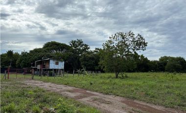 Finca de 125 Ha en San Lorenzo con Frente de Playa