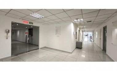 Oficina de piso entero en alquiler en Torre Oceanía, Punta Pacífica RB