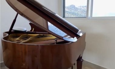 Se Vende Penthouse en Playa Caracol