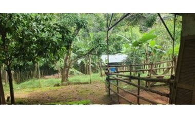 Venta de casa con establos en Las Lomas David