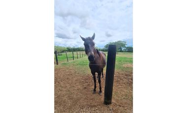 TERRENOS CAMPESTRES PRIVADOS EN PANAMA OESTE