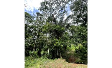 TERRENOS CAMPESTRES PRIVADOS EN PANAMA OESTE