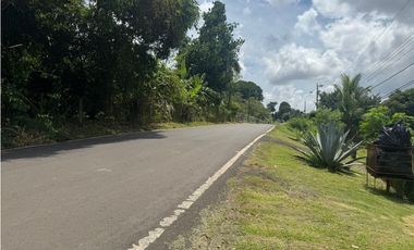 VENDO TERRENO ESTRATEGICO EL COCO DE LA CHORRERA