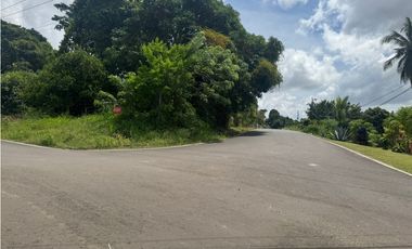 VENDO TERRENO ESTRATEGICO EL COCO DE LA CHORRERA