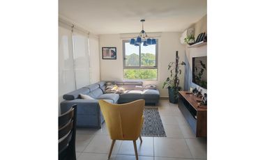 ALQUILER APARTAMENTO AMOBLADO PANAMA PACIFICO