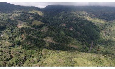 VENTA DE TERRENO EN ALTOS DE MARIA
