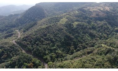 VENTA DE TERRENO EN ALTOS DE MARIA
