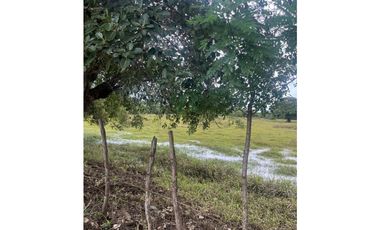 Finca de 18 has Planas orilla Rio Santa Maria