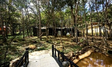 Venta de casa con terreno en Altos de Cerro Azul RB