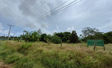Venta de terreno en La Chorrera, detrás del Hospital Solano RB