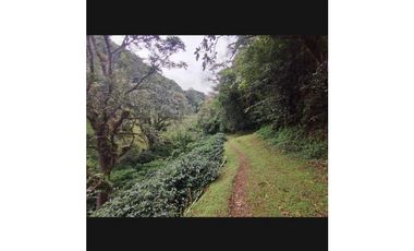 Venta de Granja Cafetera en Chiriquí