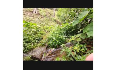 Venta de Granja Cafetera en Chiriquí