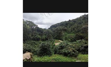 Venta de Granja Cafetera en Chiriquí