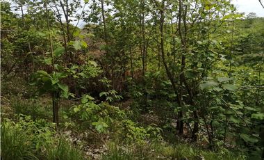 SE VENDE TERRENO – SAN CARLOS, PIEDRAS GORDAS