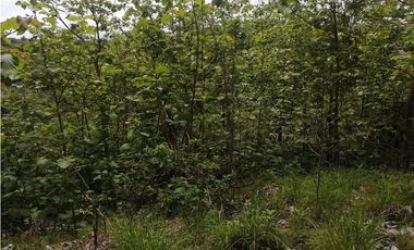 SE VENDE TERRENO – SAN CARLOS, PIEDRAS GORDAS