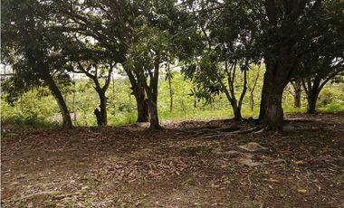 SE VENDE TERRENO – SAN CARLOS, PIEDRAS GORDAS
