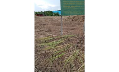 VENTA TERRENO PACORA