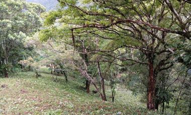 VENTA DE TERRENO EN ALTOS DEL MARIA