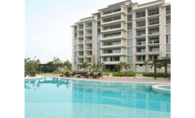 Venta o alquiler de apartamentos en Perlamar, San Carlos