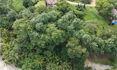 Venta de Lote Frente al Mar en Isla Bastimentos – Bocas del Toro