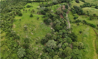 Se Vende Terreno Ideal para Desarrollo Residencial en La Chorrera