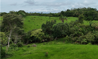 Se Vende Terreno Ideal para Desarrollo Residencial en La Chorrera