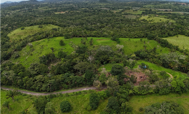 Se Vende Terreno Ideal para Desarrollo Residencial en La Chorrera