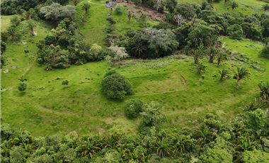 Se Vende Terreno Ideal para Desarrollo Residencial en La Chorrera