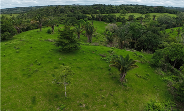 Se Vende Terreno Ideal para Desarrollo Residencial en La Chorrera