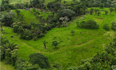 Se Vende Terreno Ideal para Desarrollo Residencial en La Chorrera