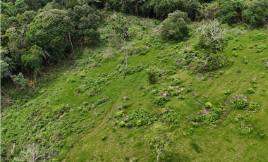 Se Vende Terreno Ideal para Desarrollo Residencial en La Chorrera